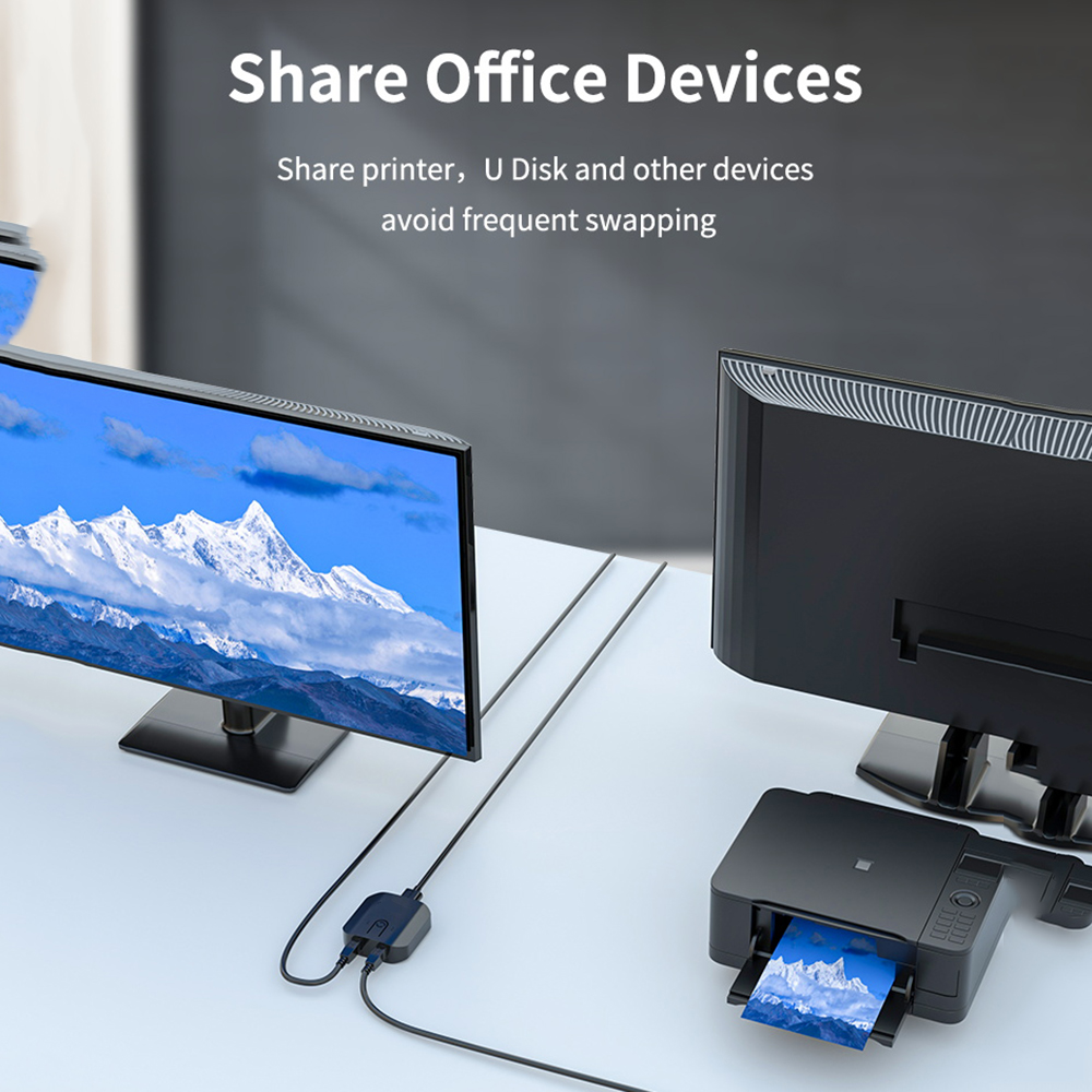 2X1 KVM Switch Box Selector Du - огляд і ціна Monitor Portable Usb